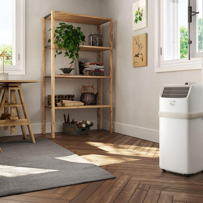 DeLonghi Pinguino Compact Mobile Air Conditioner 8300 BTU R290 Eco-Friendly Gas